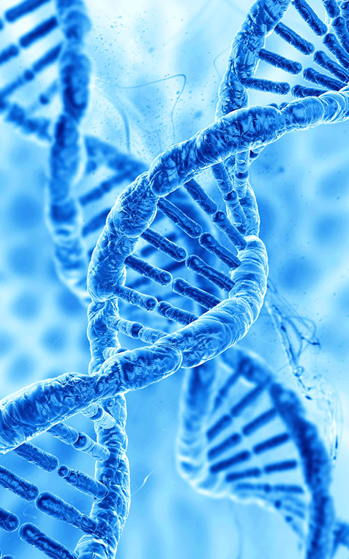 Anhua Bio запускает продукт PDRN: реконструкция глобальной цепочки поставок сырья для регенерации тканей с помощью синтетической биологии